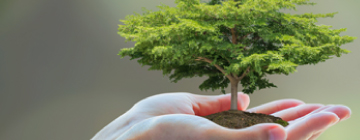 Social Responsibility